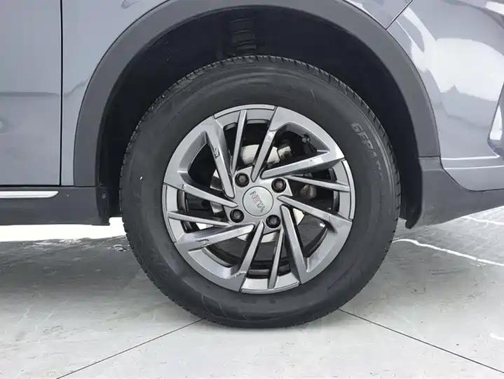 Neta V 2022 tide 300 Lite ternary lithium 6