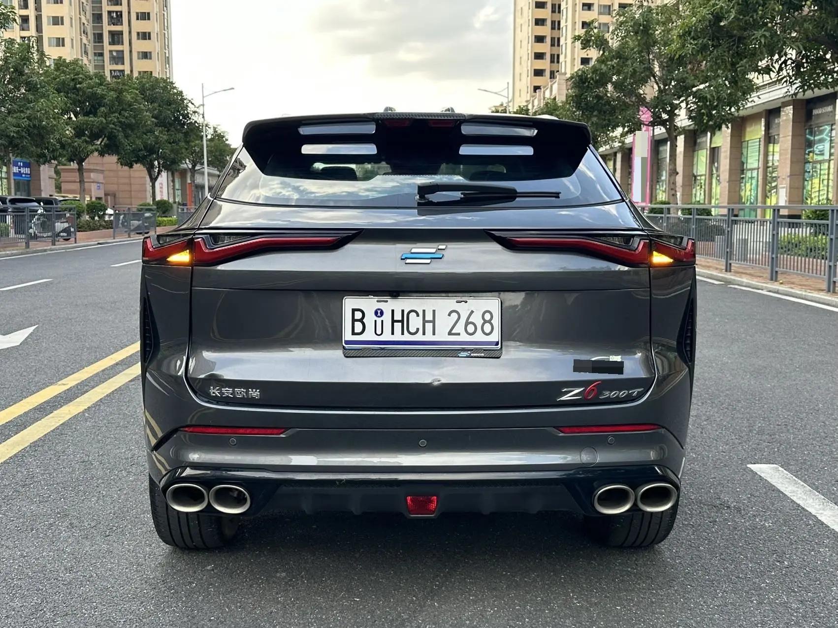 Oshan 2023 Z6 1.5T Blue Whale Intelligent Leading Edition, Automatic Transmission 4