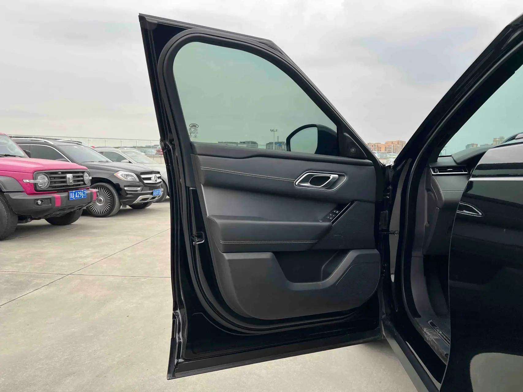 Range Rover Star Vein 2023 250PS Gel Black Collector's Edition 4