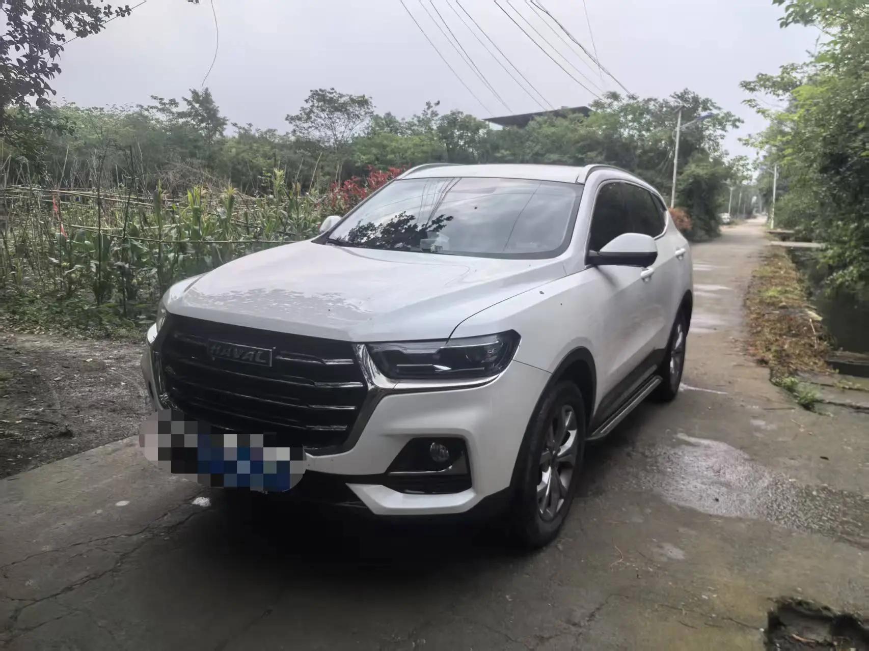 Haval H6 2021 National Tide Edition 1.5T Auto Champion Edition