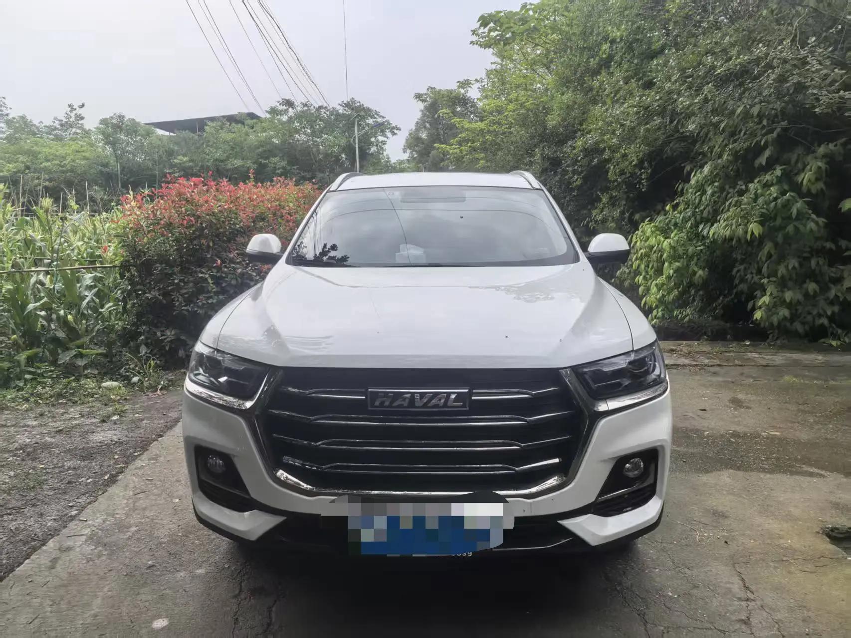 Haval H6 2021 National Tide Edition 1.5T Auto Champion Edition 3