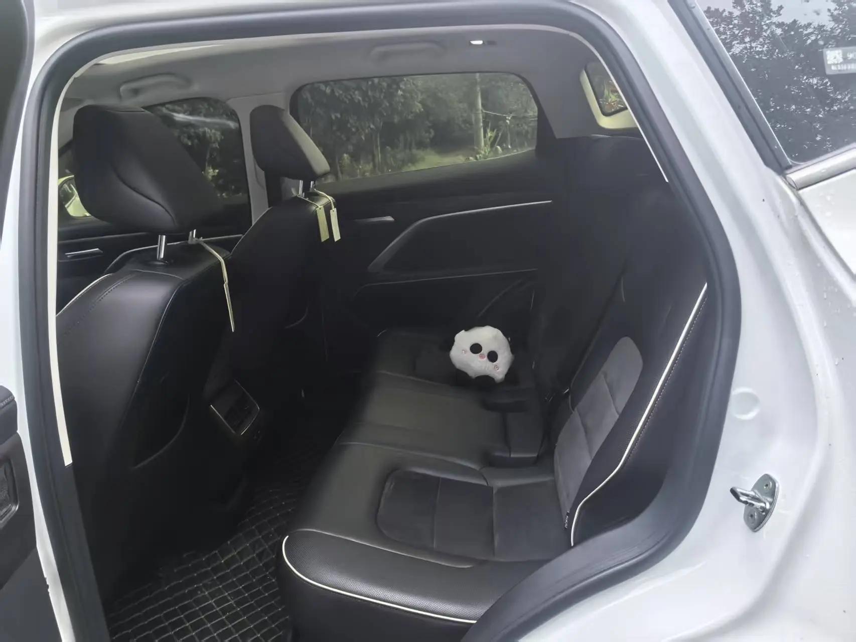 Haval H6 2021 National Tide Edition 1.5T Auto Champion Edition 5