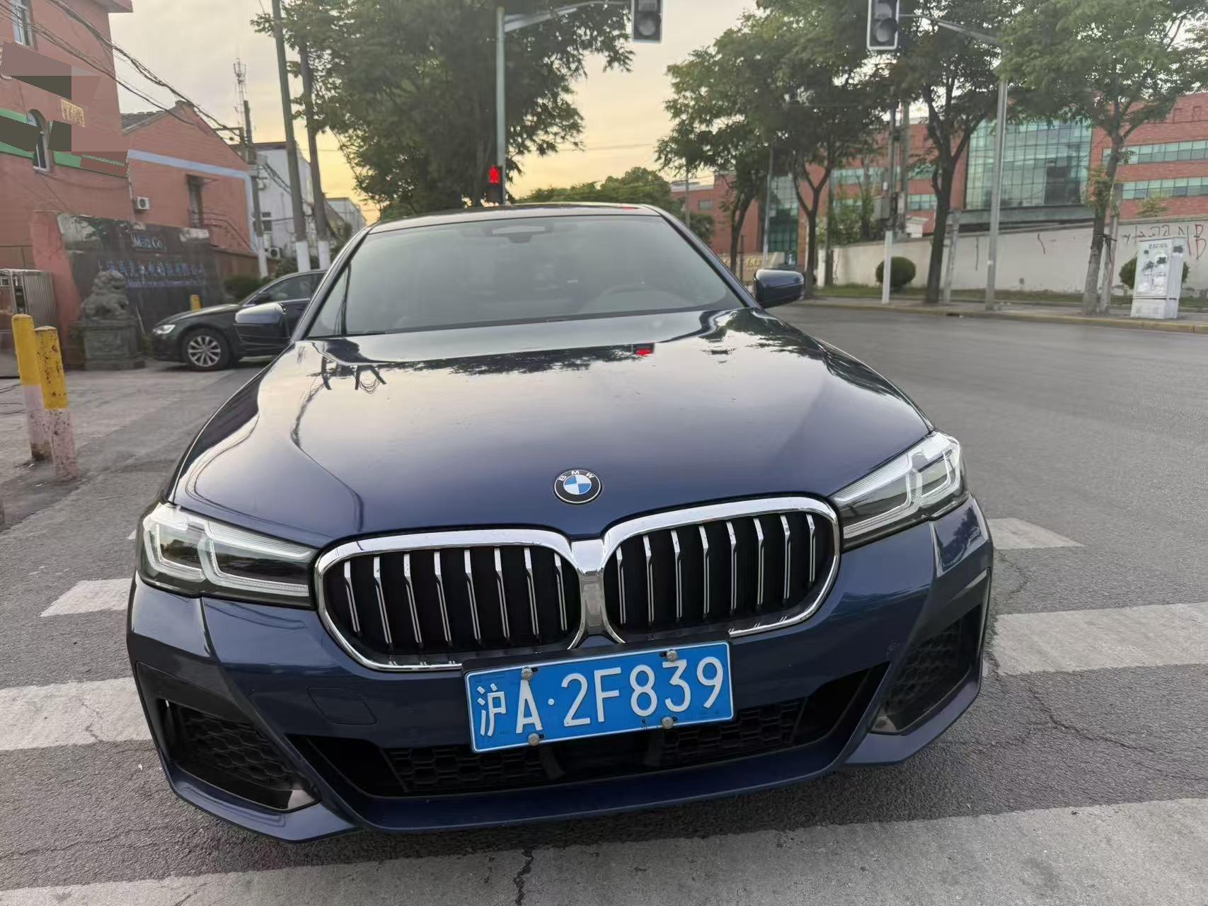 BMW 5 Series 2021 530Li Leading M Sports Suit 3