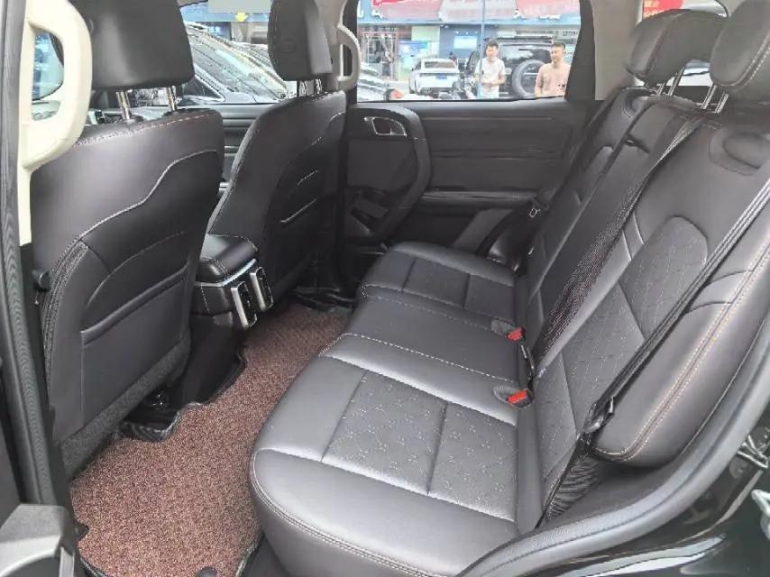 Haval 2024 Dog 1.5T Border Collie Edition Automatic 5