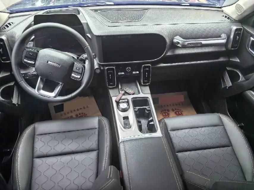 Haval 2024 Dog 1.5T Border Collie Edition Automatic 6