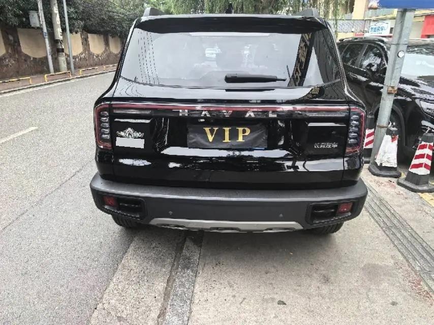 Haval 2024 Dog 1.5T Border Collie Edition Automatic 9