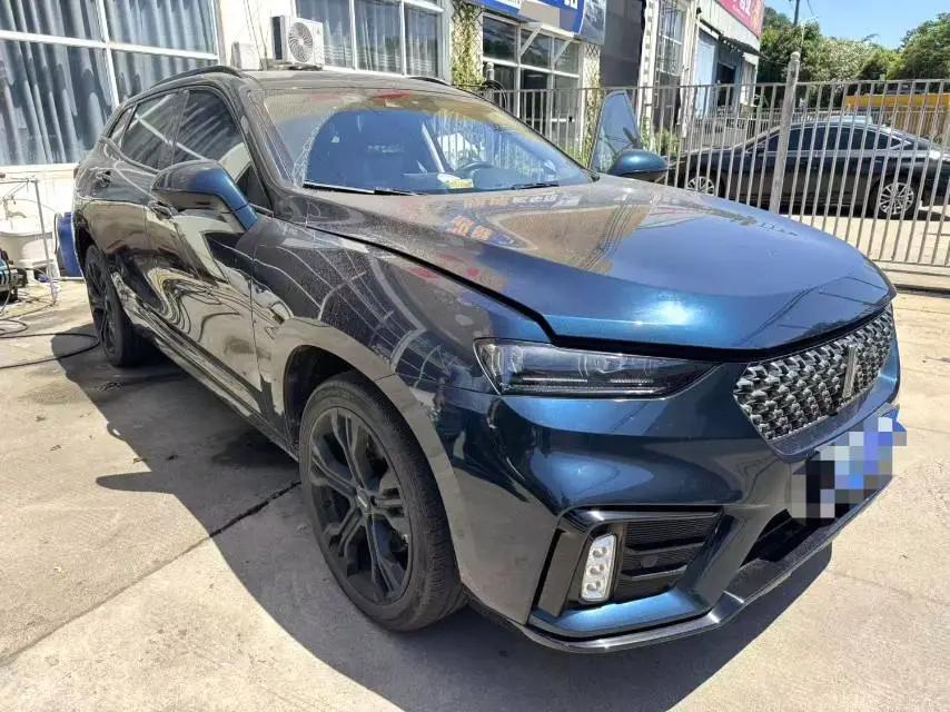 WEY VV7 2021 2.0T Technology Edition 2