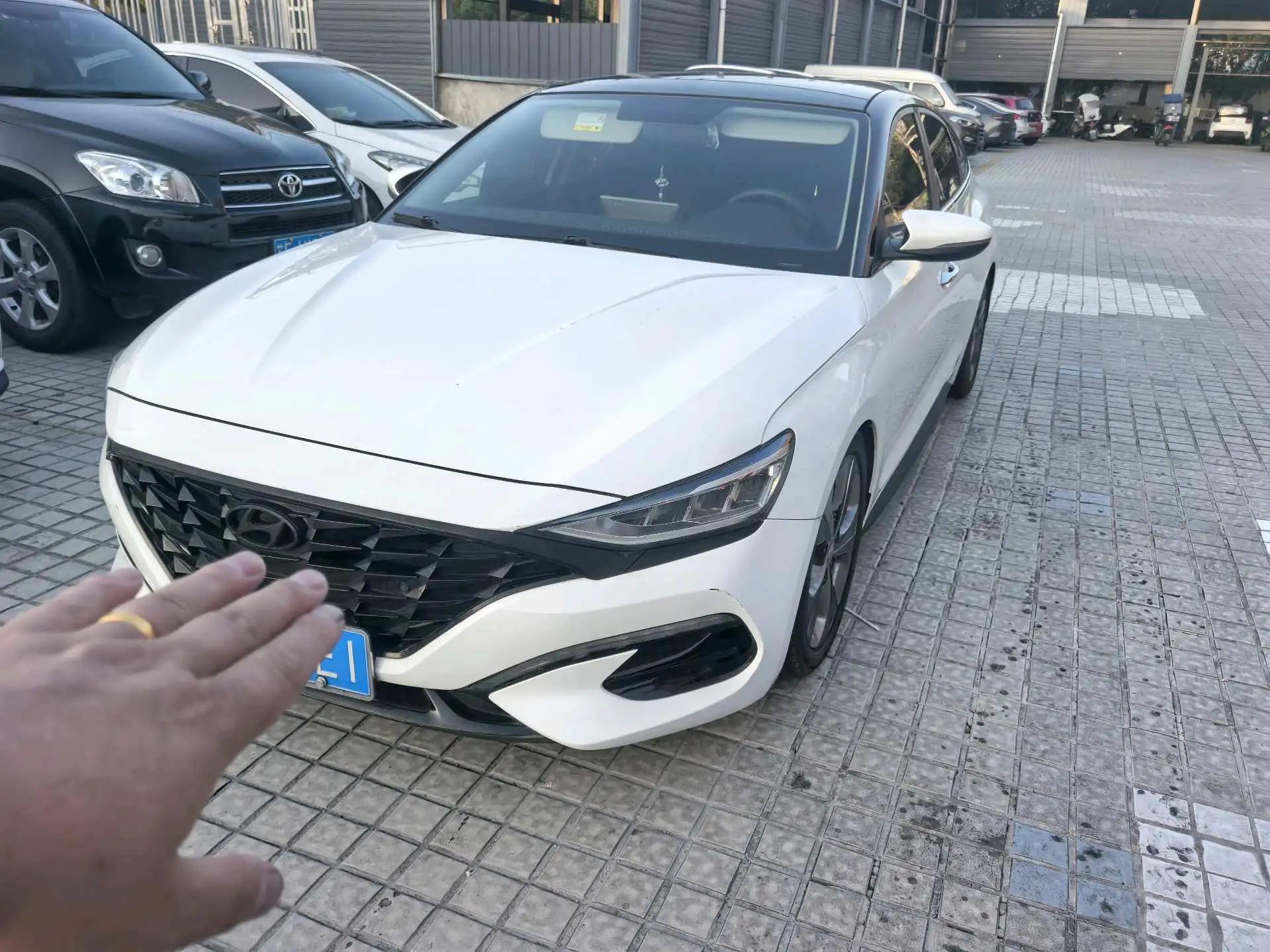 Fista 2019 280TGDi Sports Edition National V