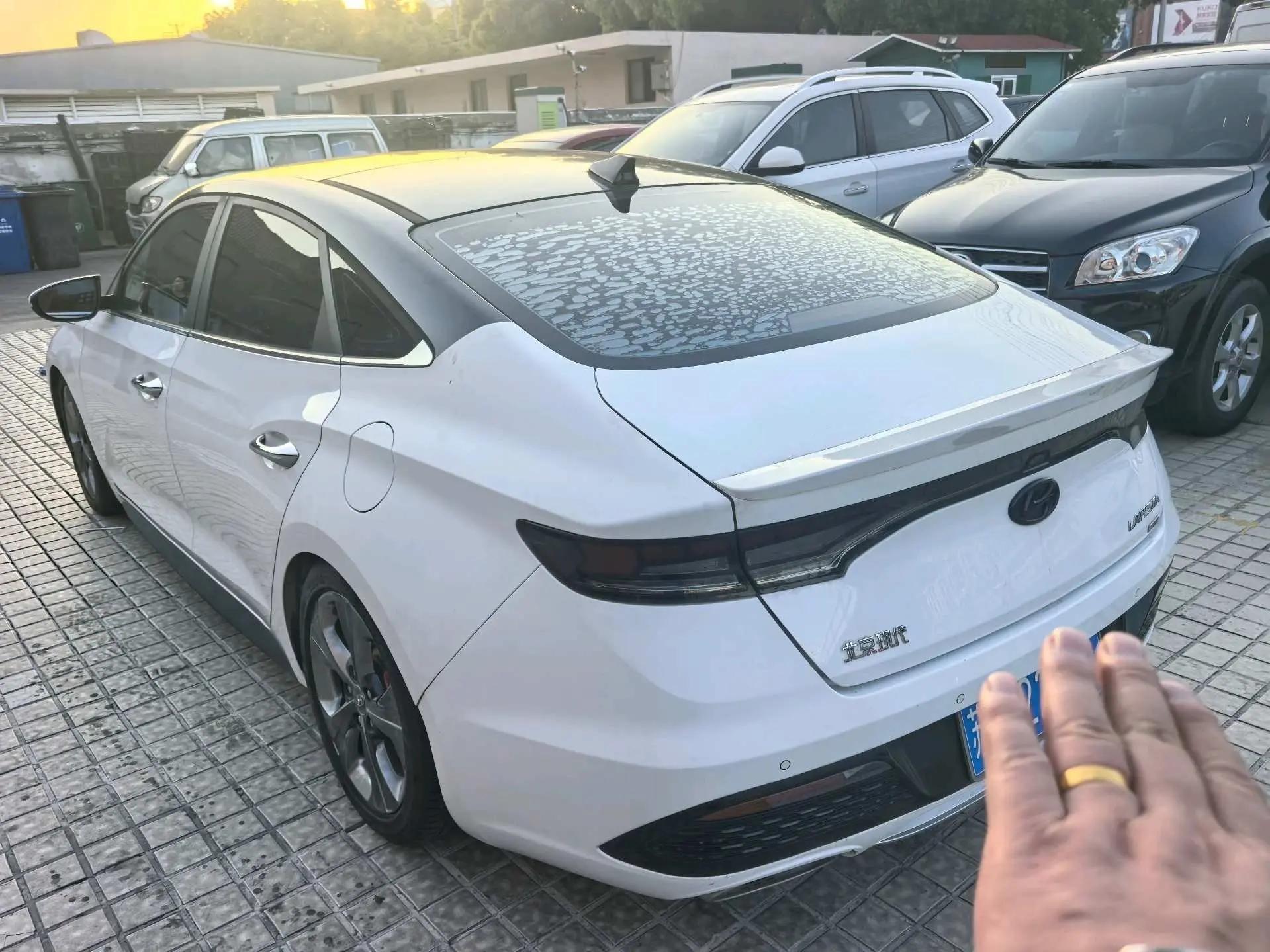 Fista 2019 280TGDi Sports Edition National V 2