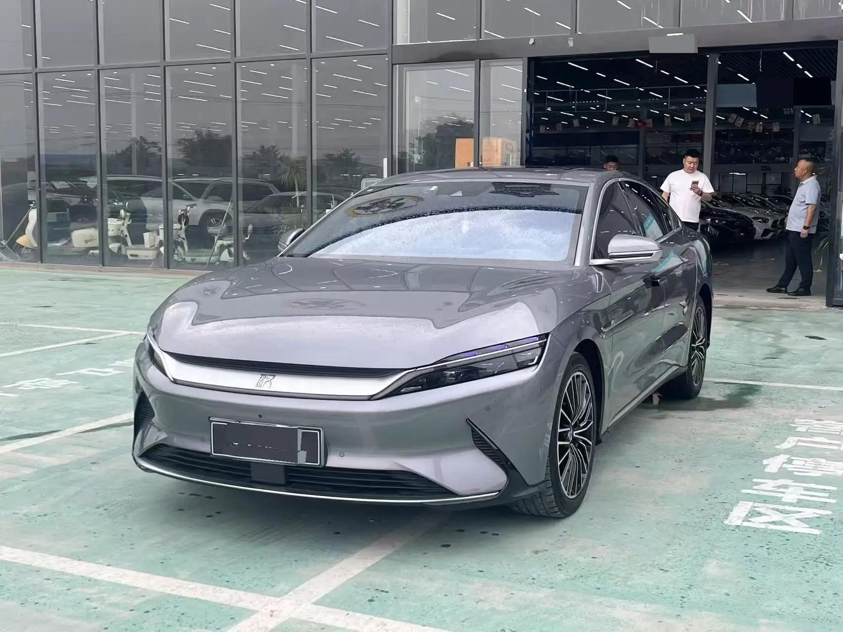 Han 2021 EV Standard Endurance Luxury Model