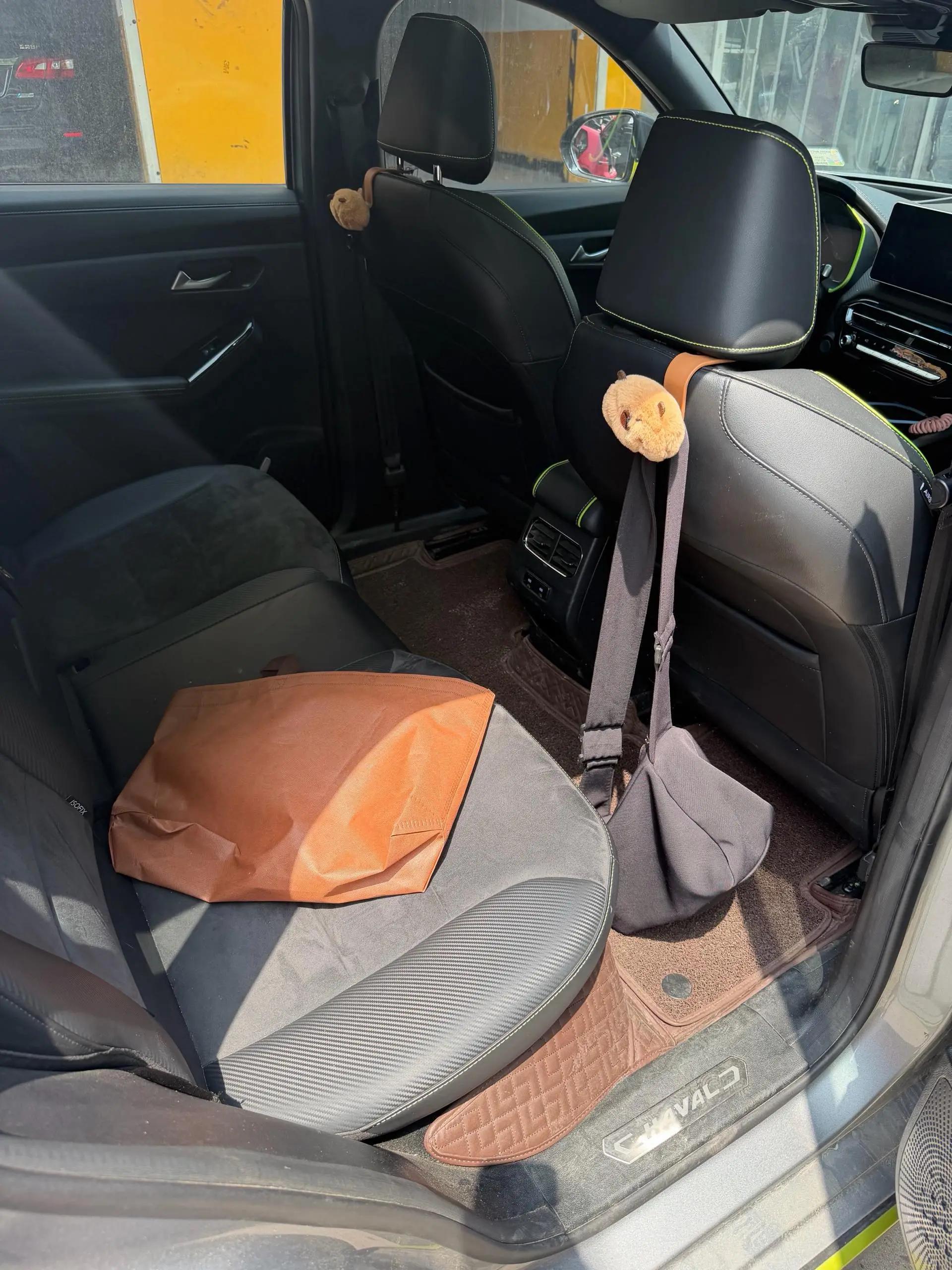Haval Red Rabbit 2021 Excitation Edition 1.5T Platinum Rabbit 4