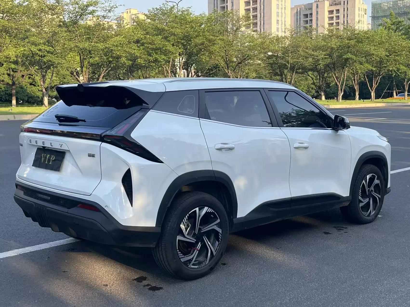 Boyue 2024 1.5TD Dragon Edition 7