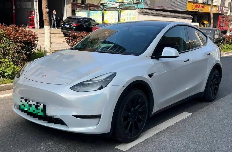 Model Y 2021 Standard Endurance Rear Drive Edition