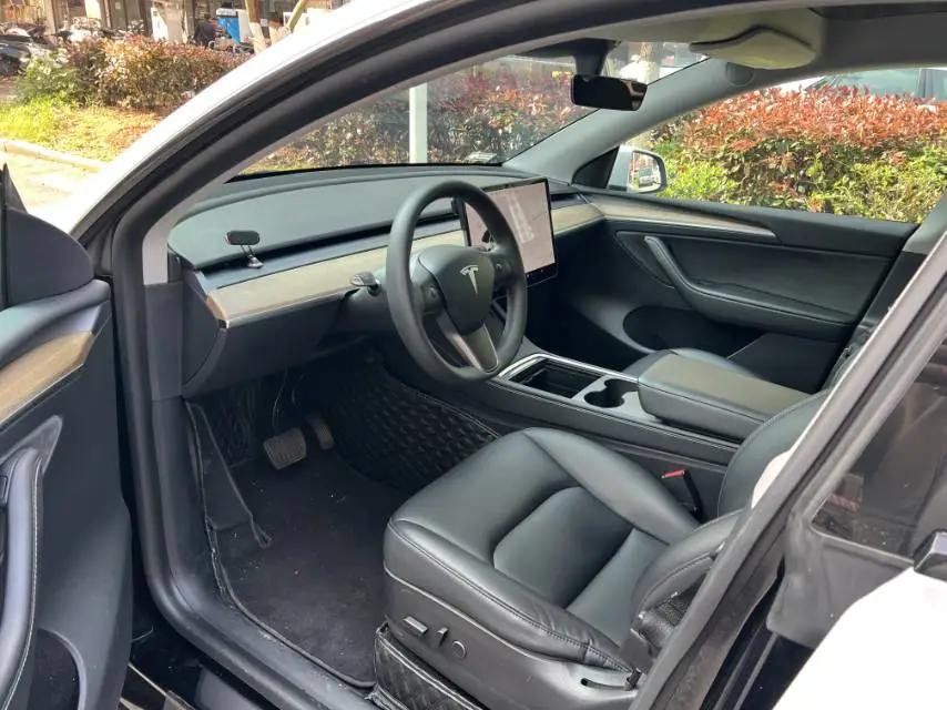 Model Y 2021 Standard Endurance Rear Drive Edition 3