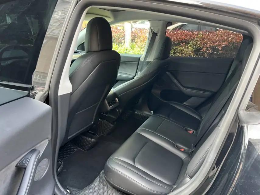 Model Y 2021 Standard Endurance Rear Drive Edition 4