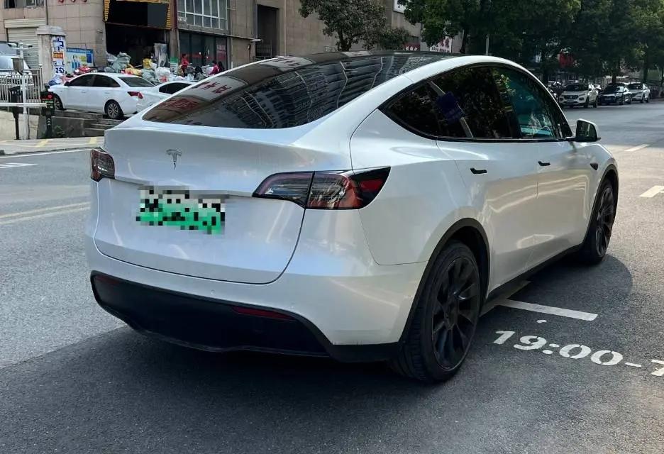 Model Y 2021 Standard Endurance Rear Drive Edition 5