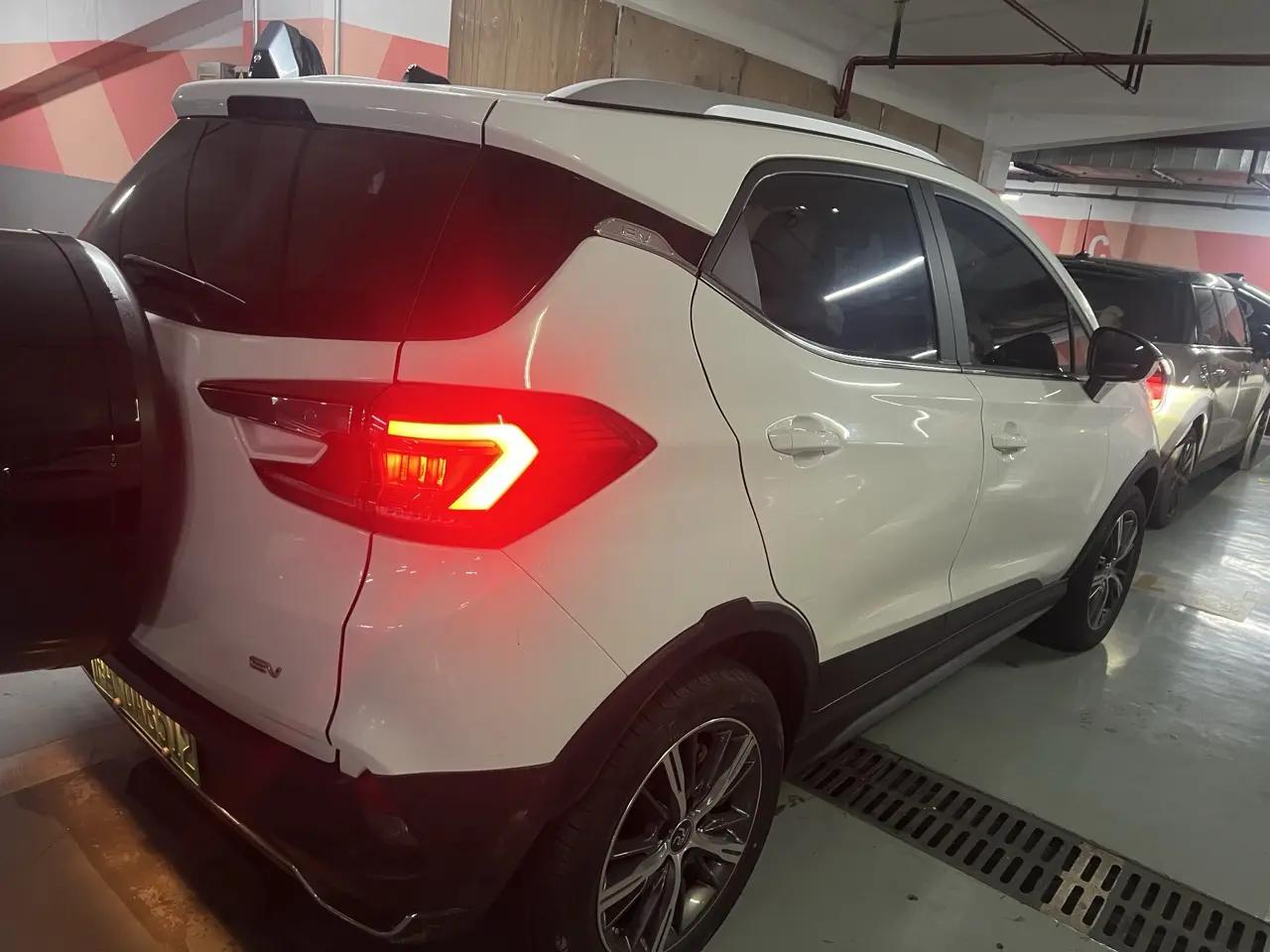 Yuan New Energy 2019 EV535 High Energy Pilot Edition 3
