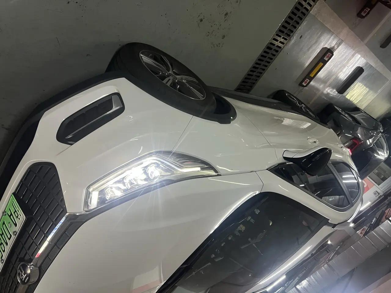 Yuan New Energy 2019 EV535 High Energy Pilot Edition 7