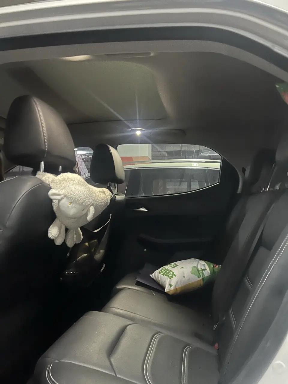 Yuan New Energy 2019 EV535 High Energy Pilot Edition 9