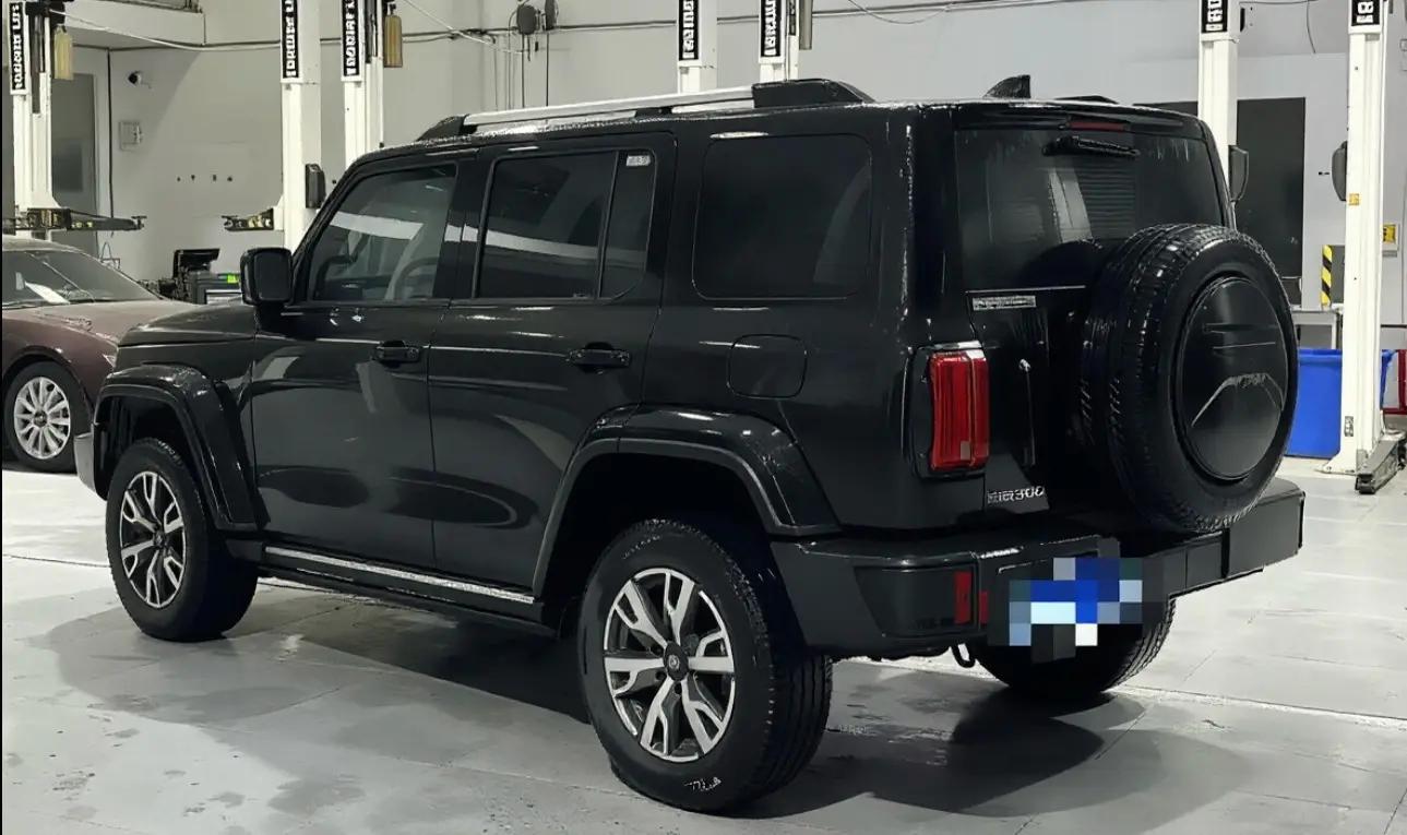 Tank 300 2024 2.0T Crossover 6