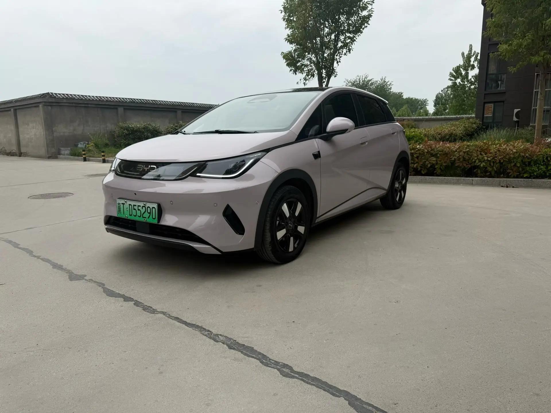 BYD 2025 Dolphin Smart Driving 410km Fashion Automatic Gear