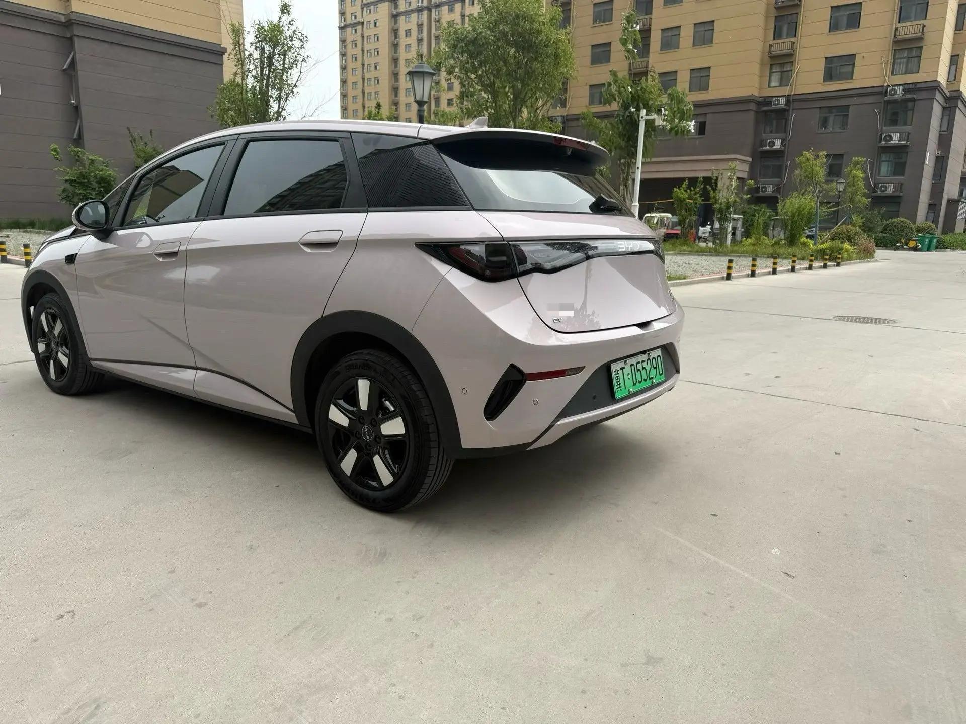 BYD 2025 Dolphin Smart Driving 410km Fashion Automatic Gear 5