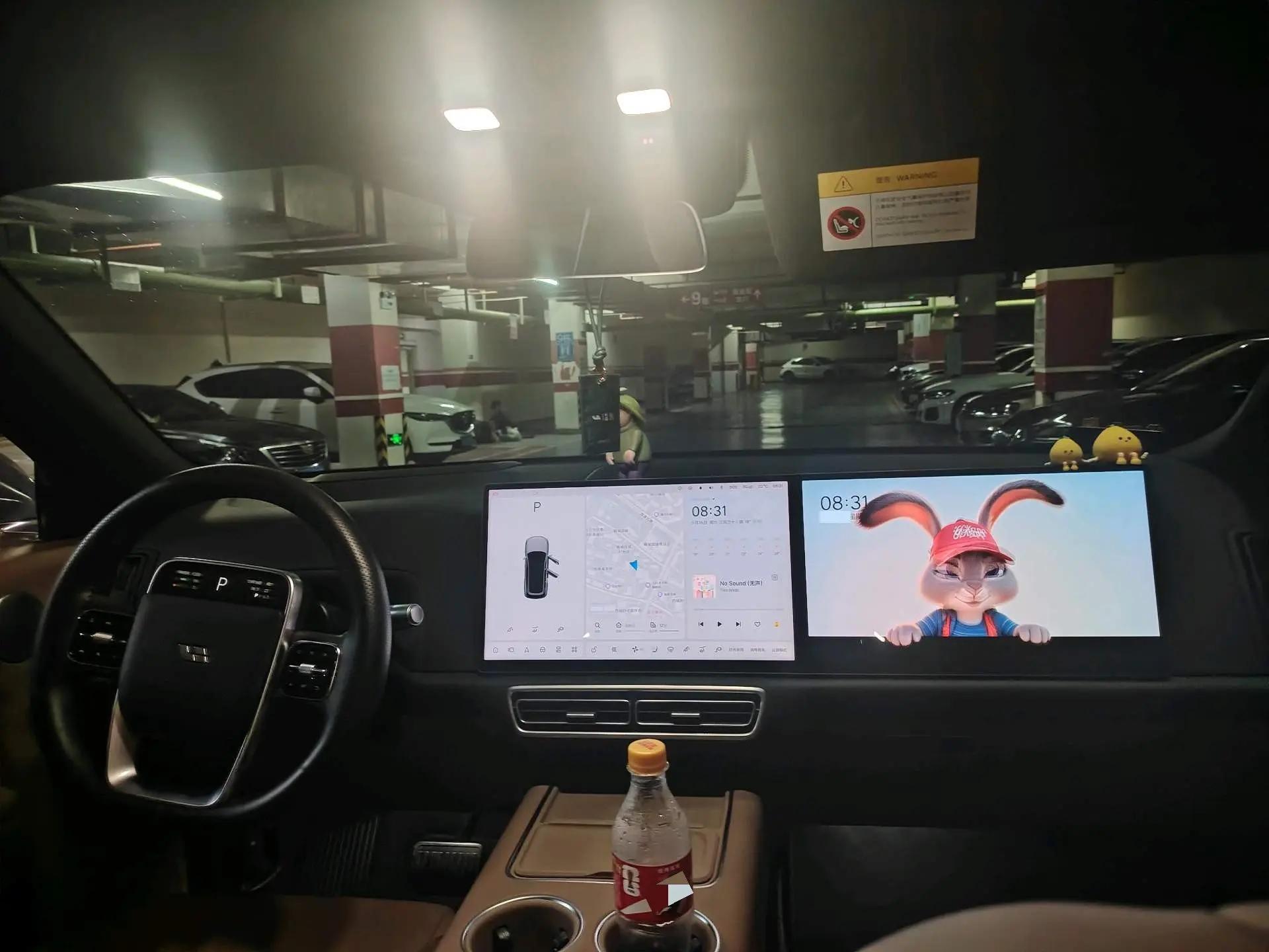 Li 2025 L8 Max Intelligent Rejuvenation Automatic Gear 3