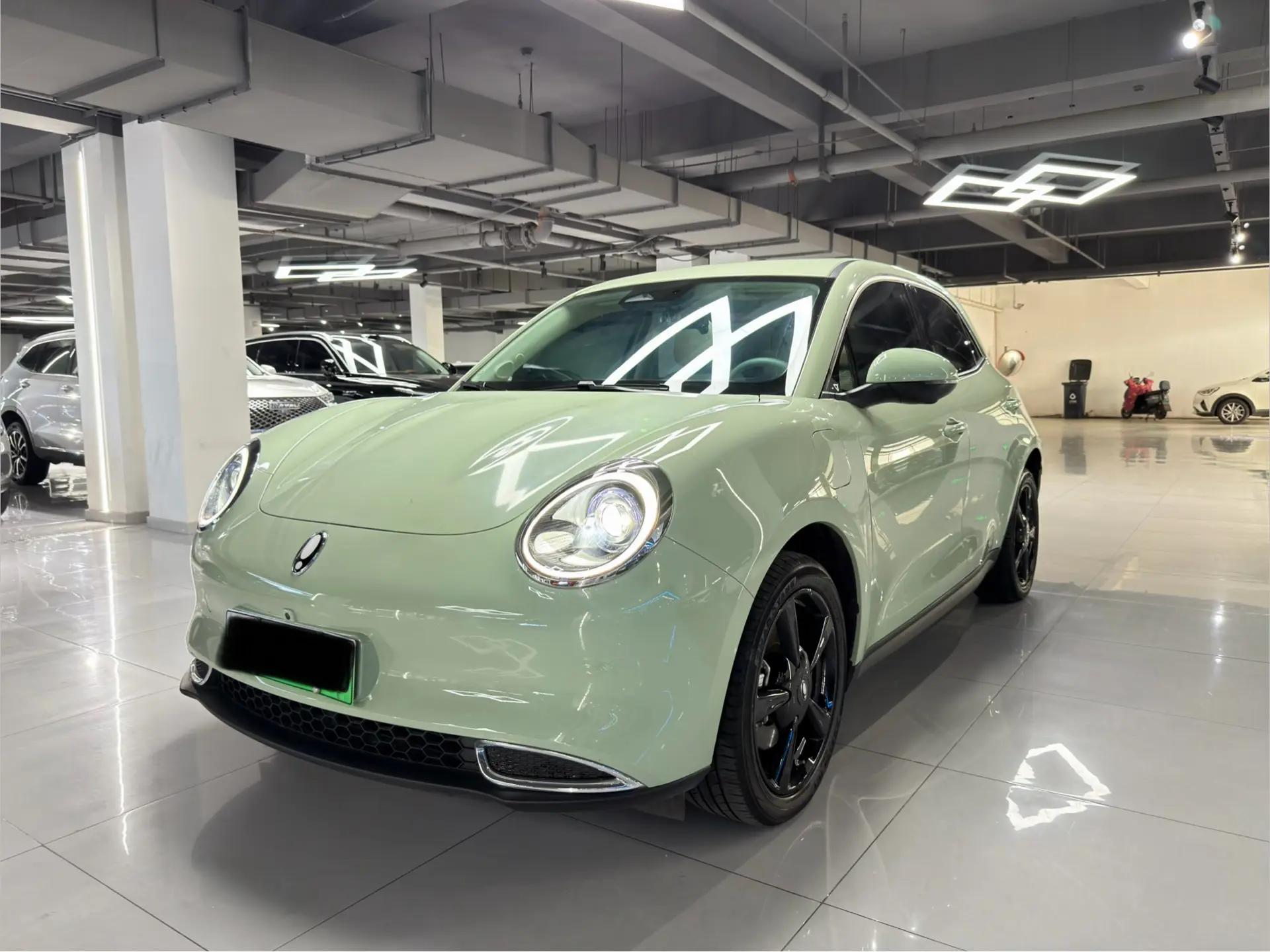 Ora good cat 2024 401km luxury model