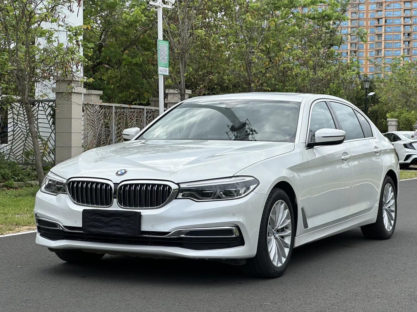 BMW 5 Series 2020 530Li Premium Luxury Suit