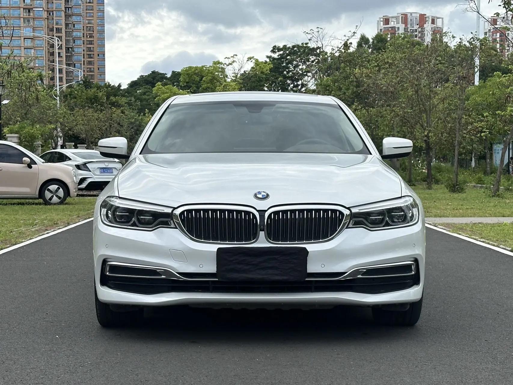 BMW 5 Series 2020 530Li Premium Luxury Suit 2