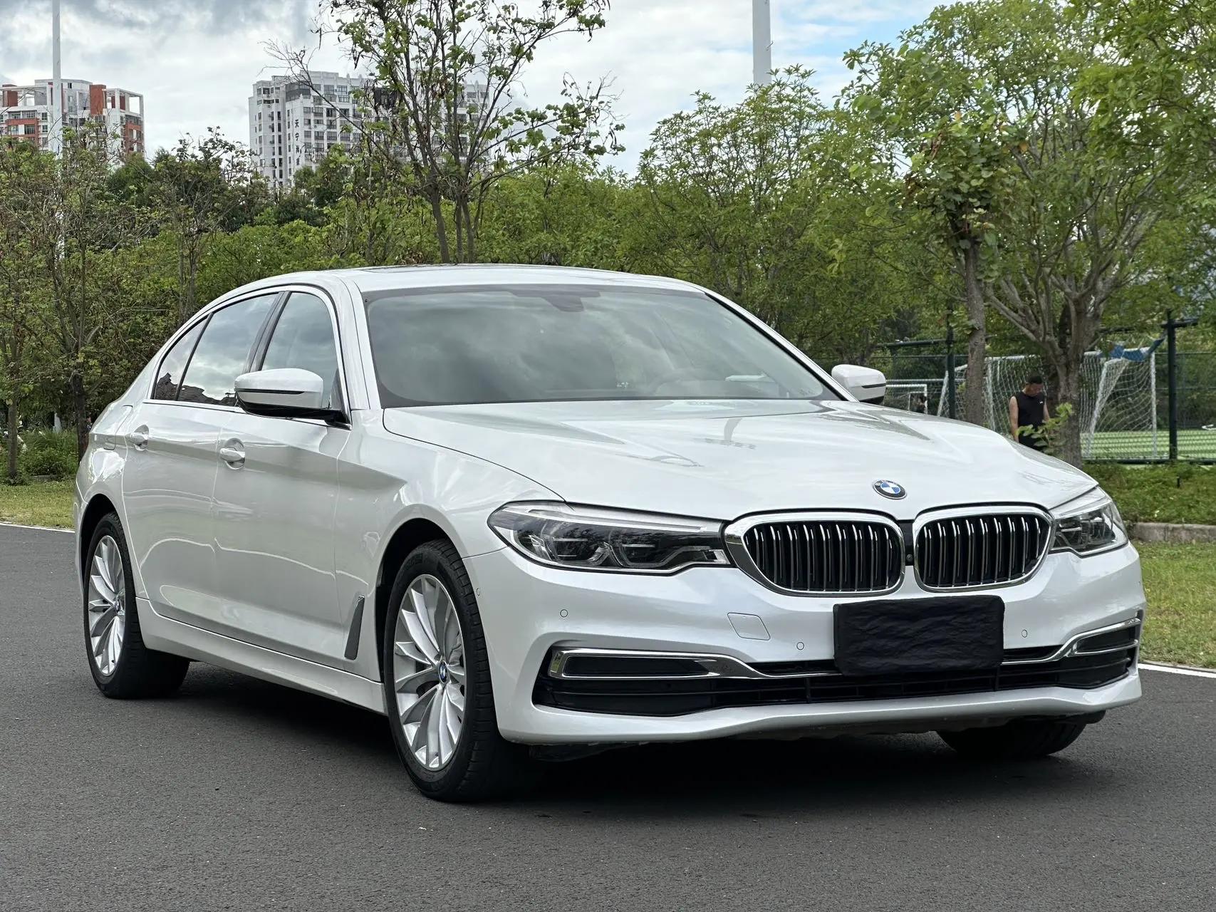 BMW 5 Series 2020 530Li Premium Luxury Suit 3