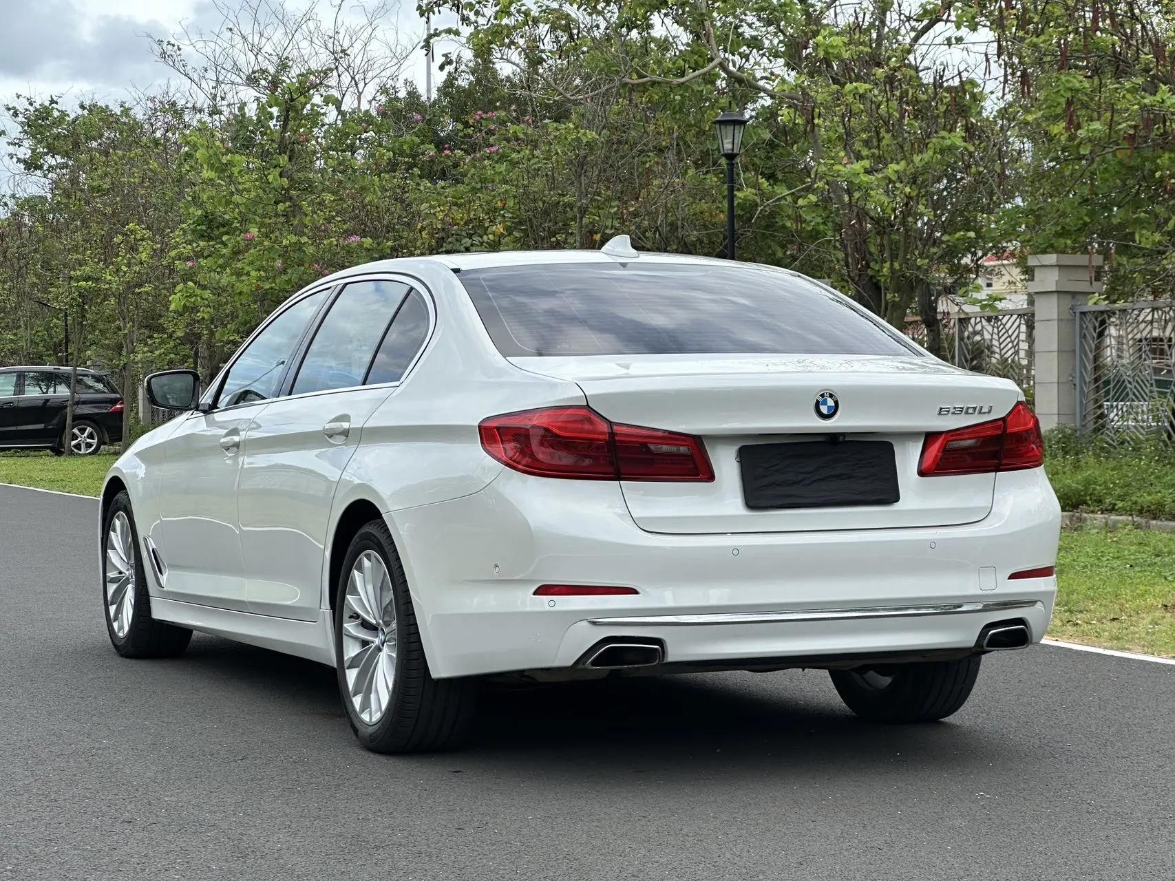 BMW 5 Series 2020 530Li Premium Luxury Suit 4
