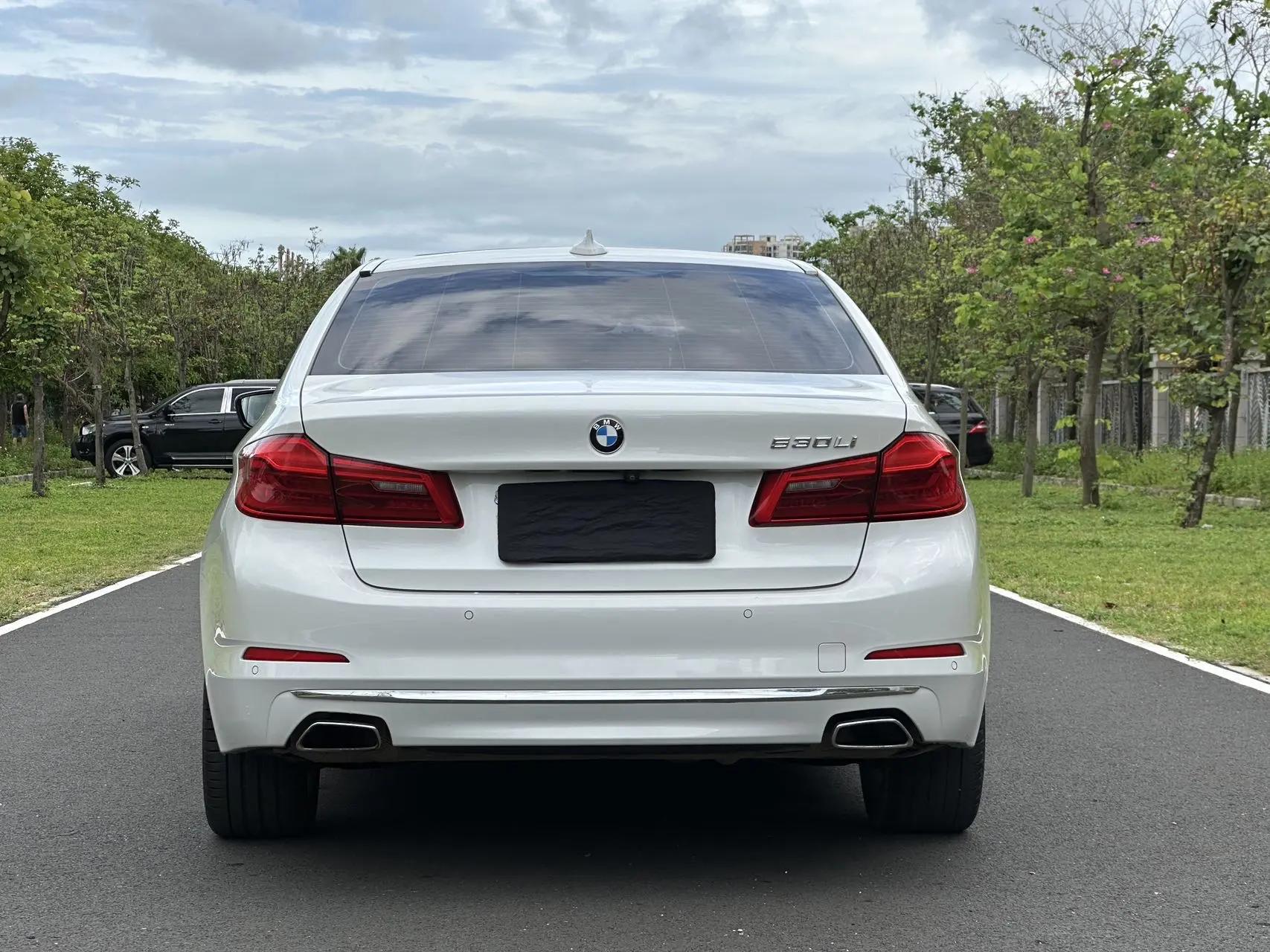 BMW 5 Series 2020 530Li Premium Luxury Suit 5
