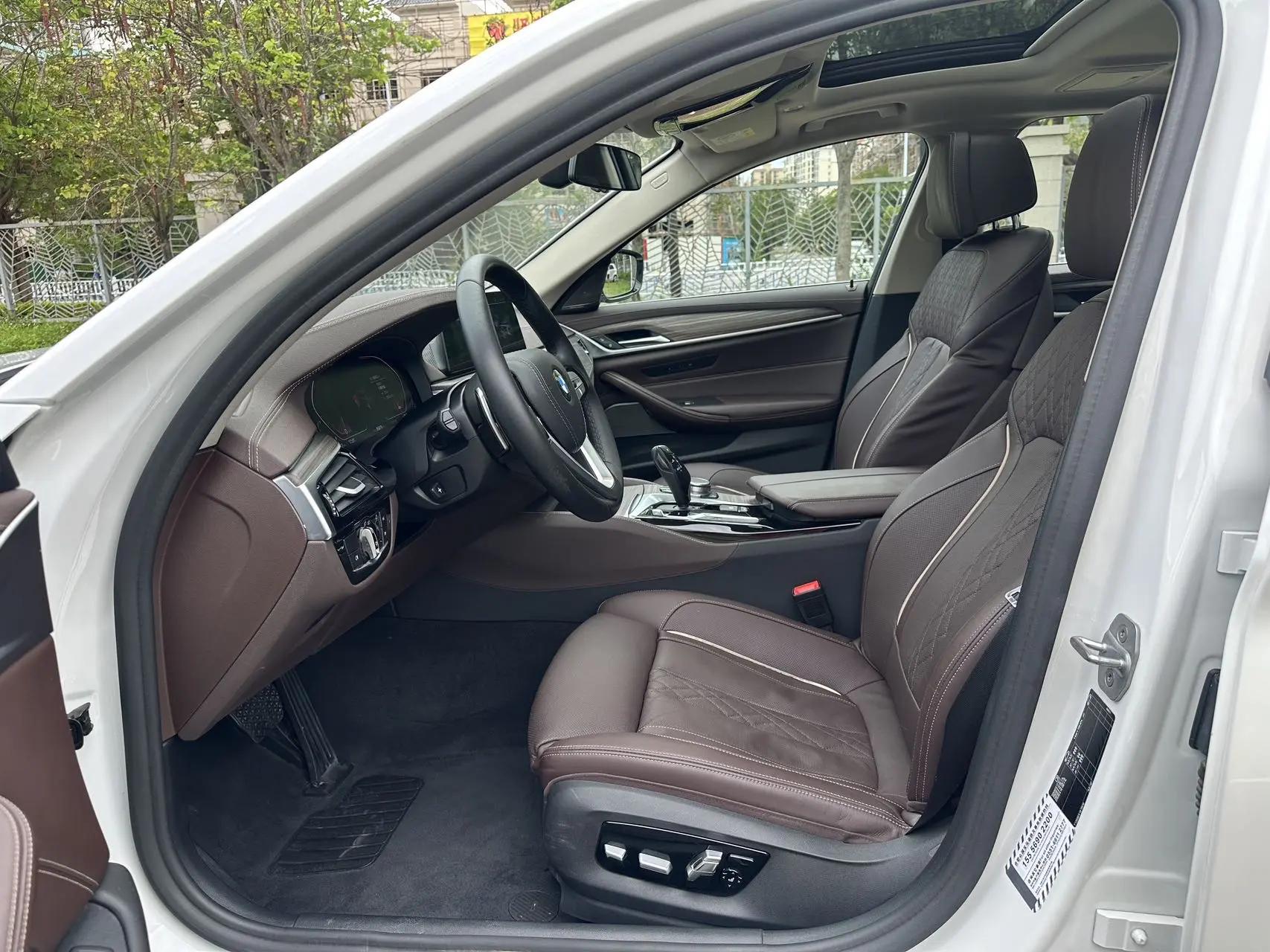BMW 5 Series 2020 530Li Premium Luxury Suit 6