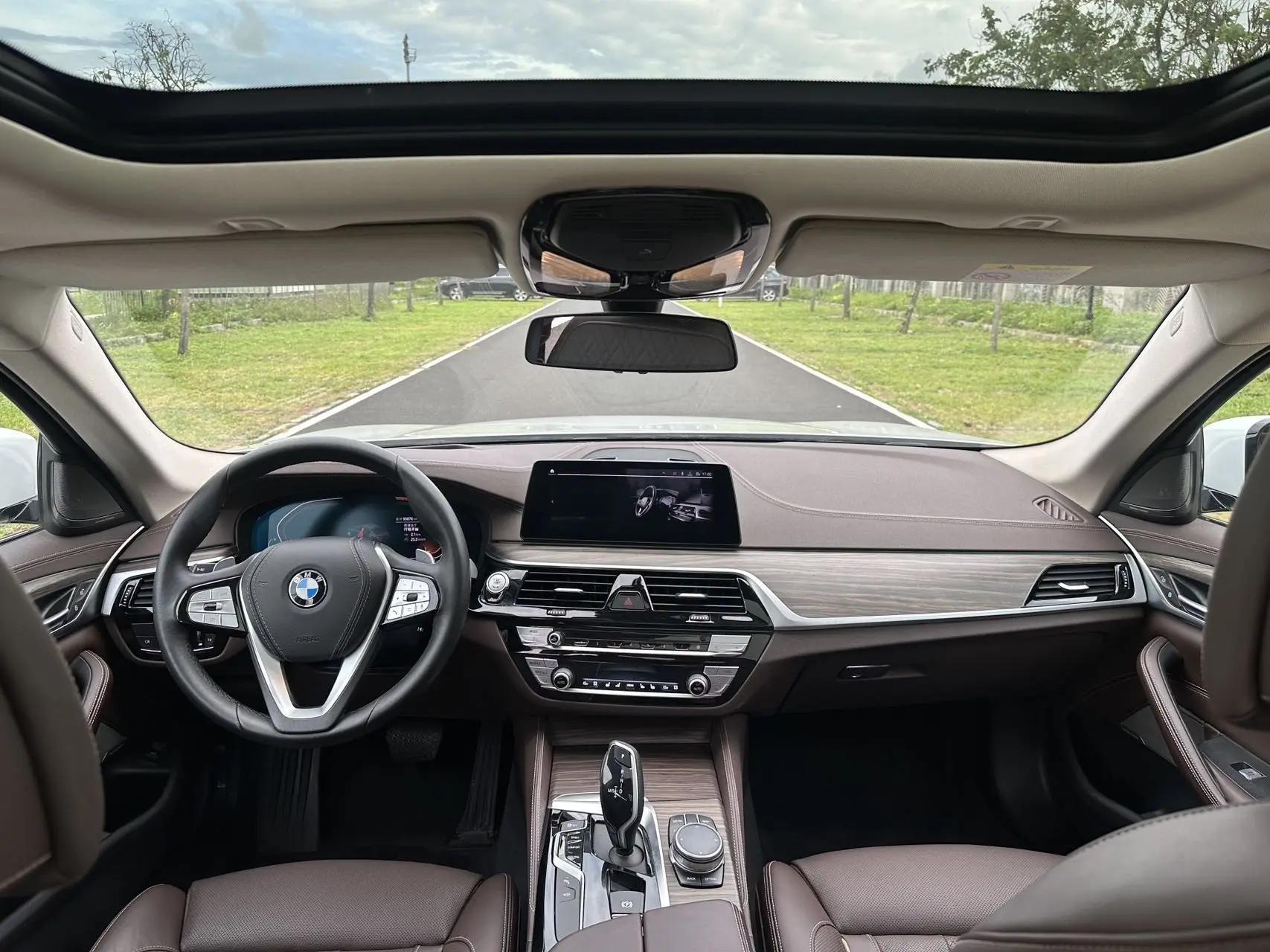 BMW 5 Series 2020 530Li Premium Luxury Suit 8