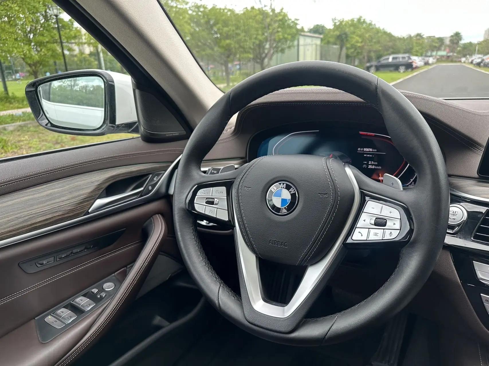 BMW 5 Series 2020 530Li Premium Luxury Suit 9