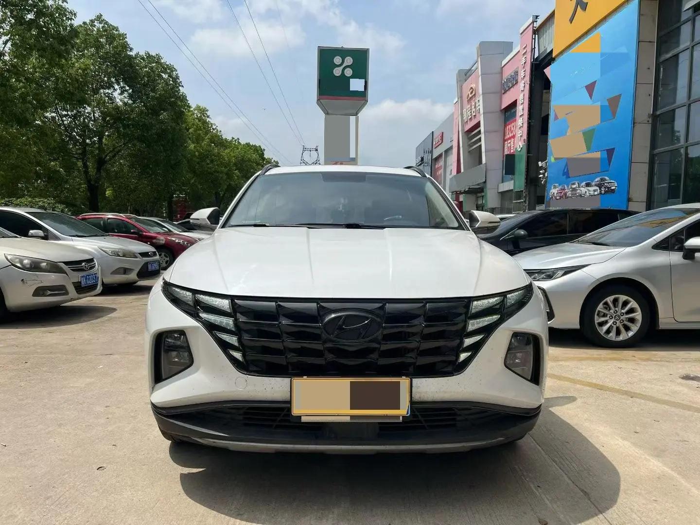 Tousheng 2021 Tousheng L 1.5T GLX Elite Edition 3