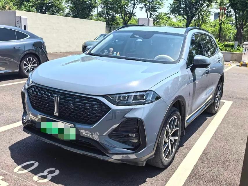 Latte DHT-PHEV 2022 1.5T two-wheel drive super cup