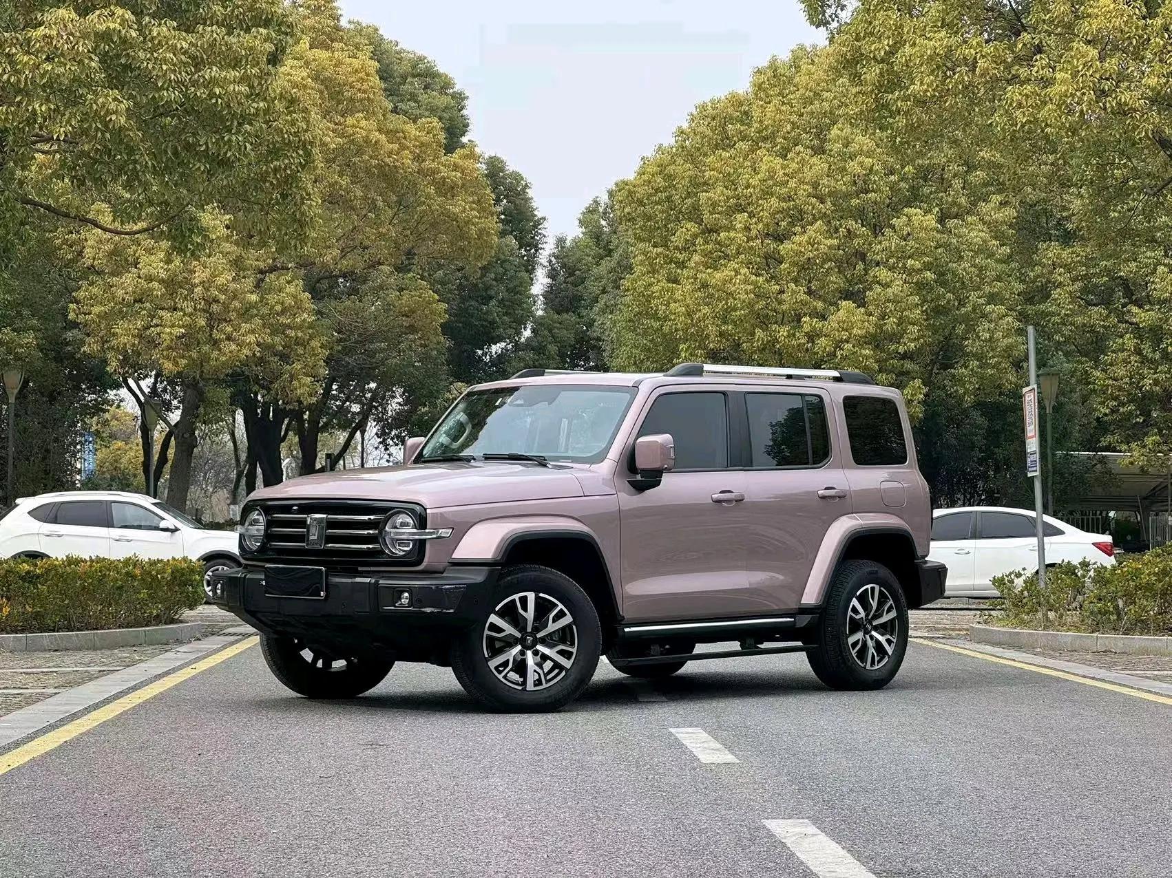 Tank 300 2022 2.0T Border Limited Edition