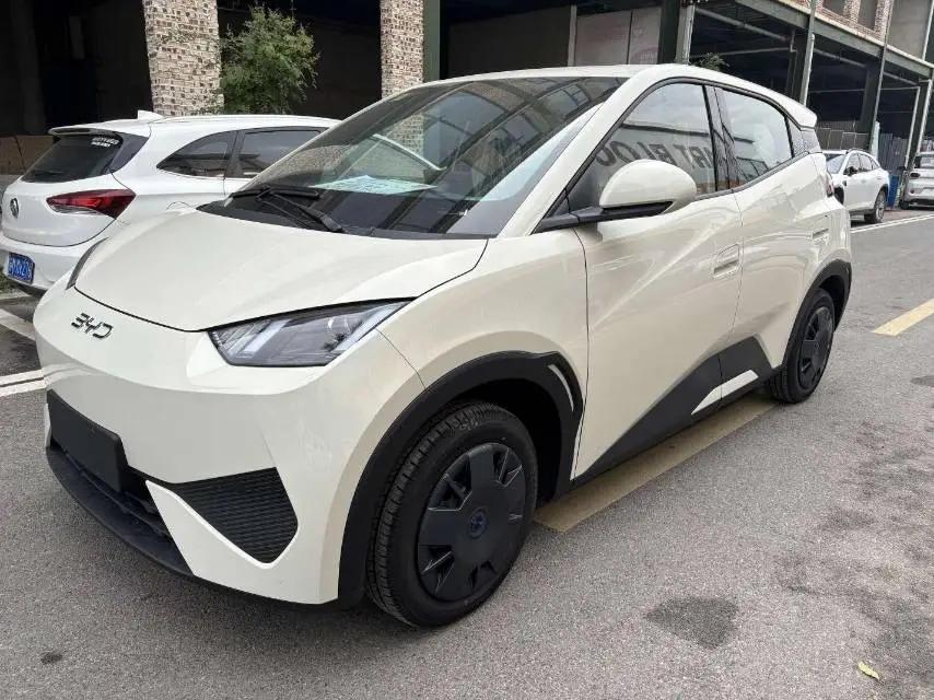 BYD 2025 Seagull Intelligent Driving Edition 305km Vitality Edition Automatic