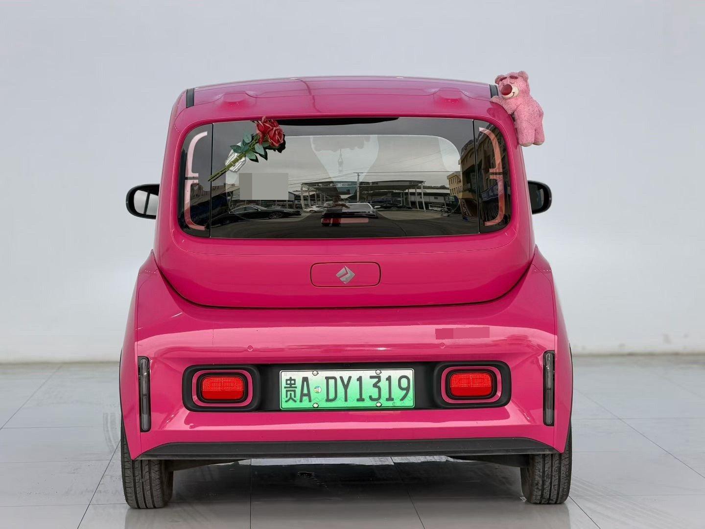 BaoJun KiWi EV 2022 Designer Light Edition Ternary Lithium 8