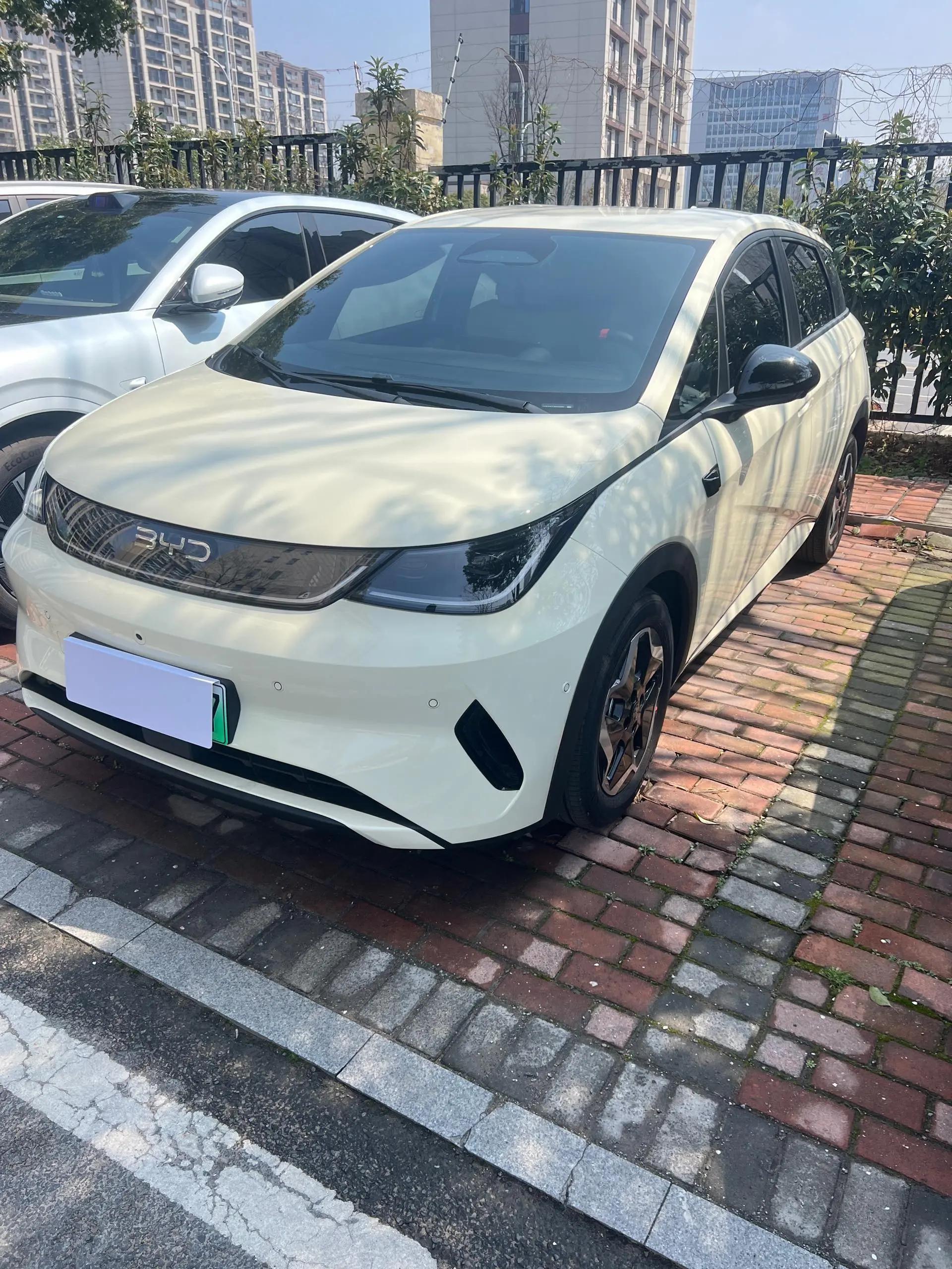 BYD 2025 Dolphin Intelligent Driving Edition 420km Free Edition Automatic