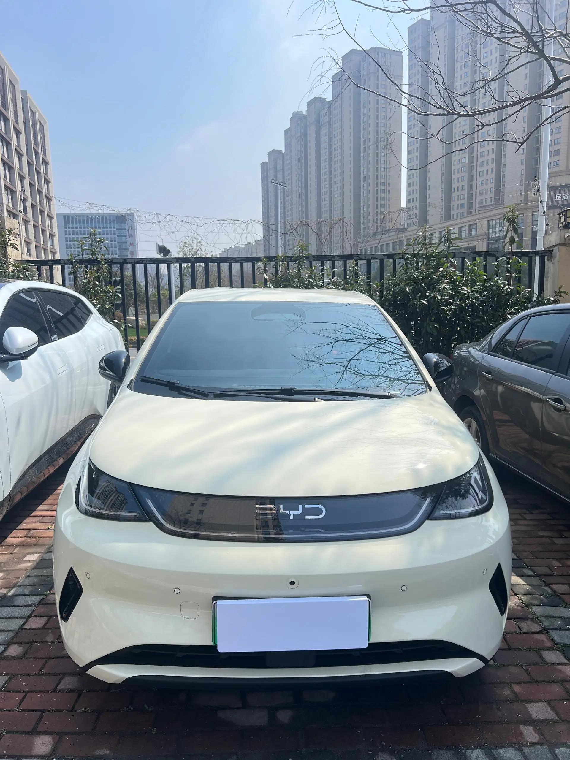 BYD 2025 Dolphin Intelligent Driving Edition 420km Free Edition Automatic 2