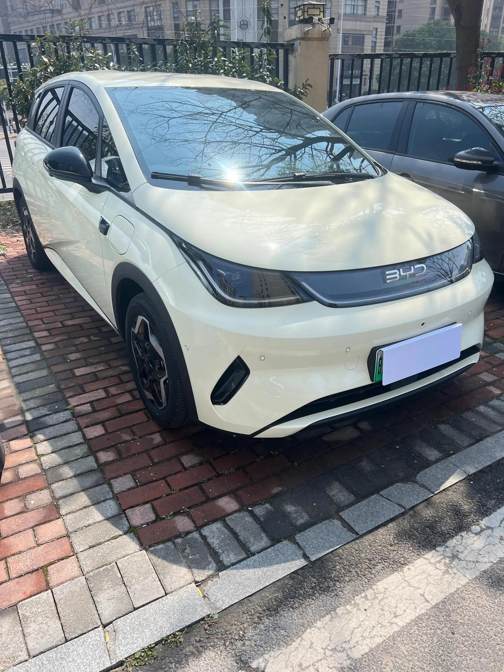 BYD 2025 Dolphin Intelligent Driving Edition 420km Free Edition Automatic 3