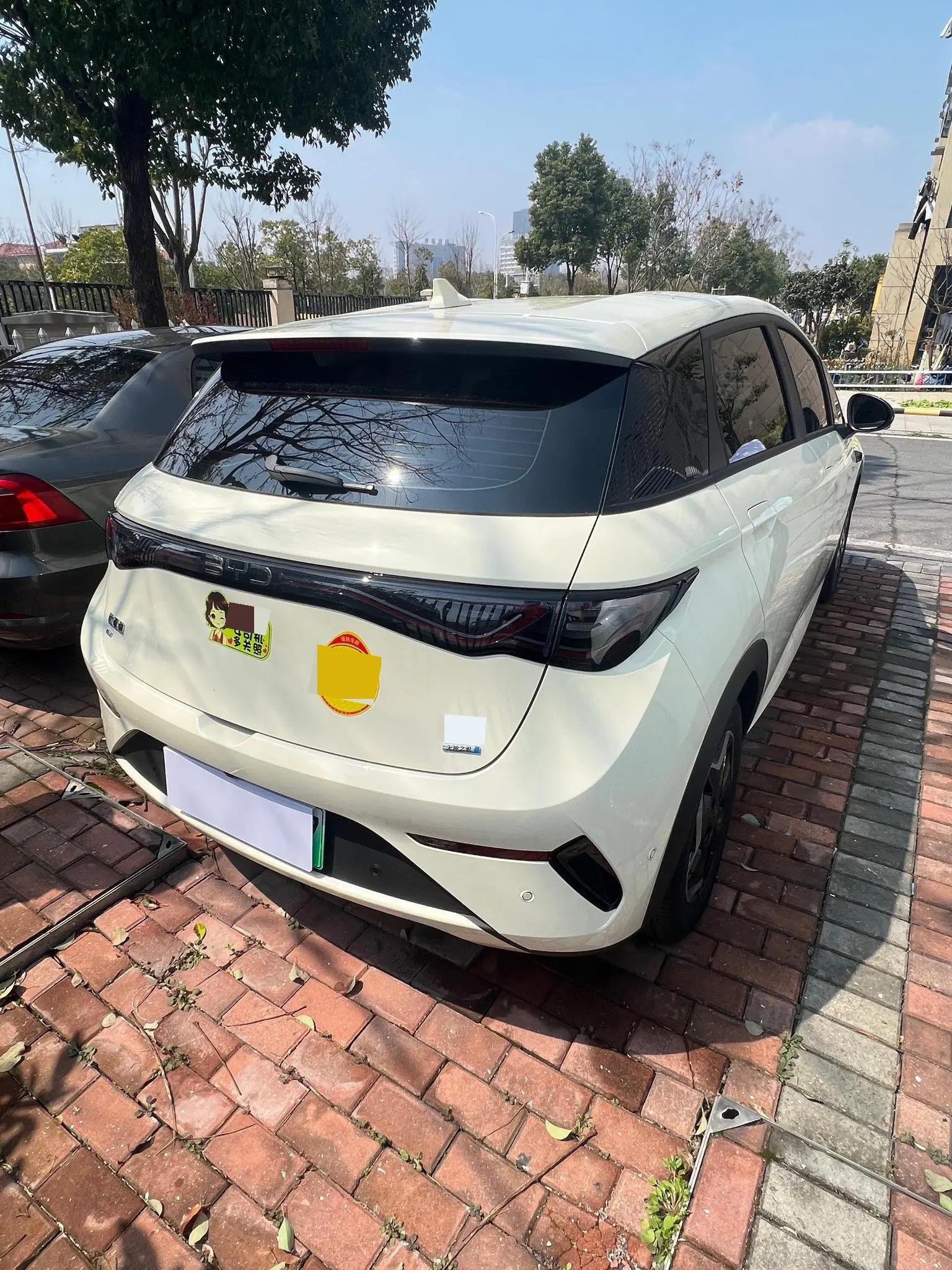 BYD 2025 Dolphin Intelligent Driving Edition 420km Free Edition Automatic 7
