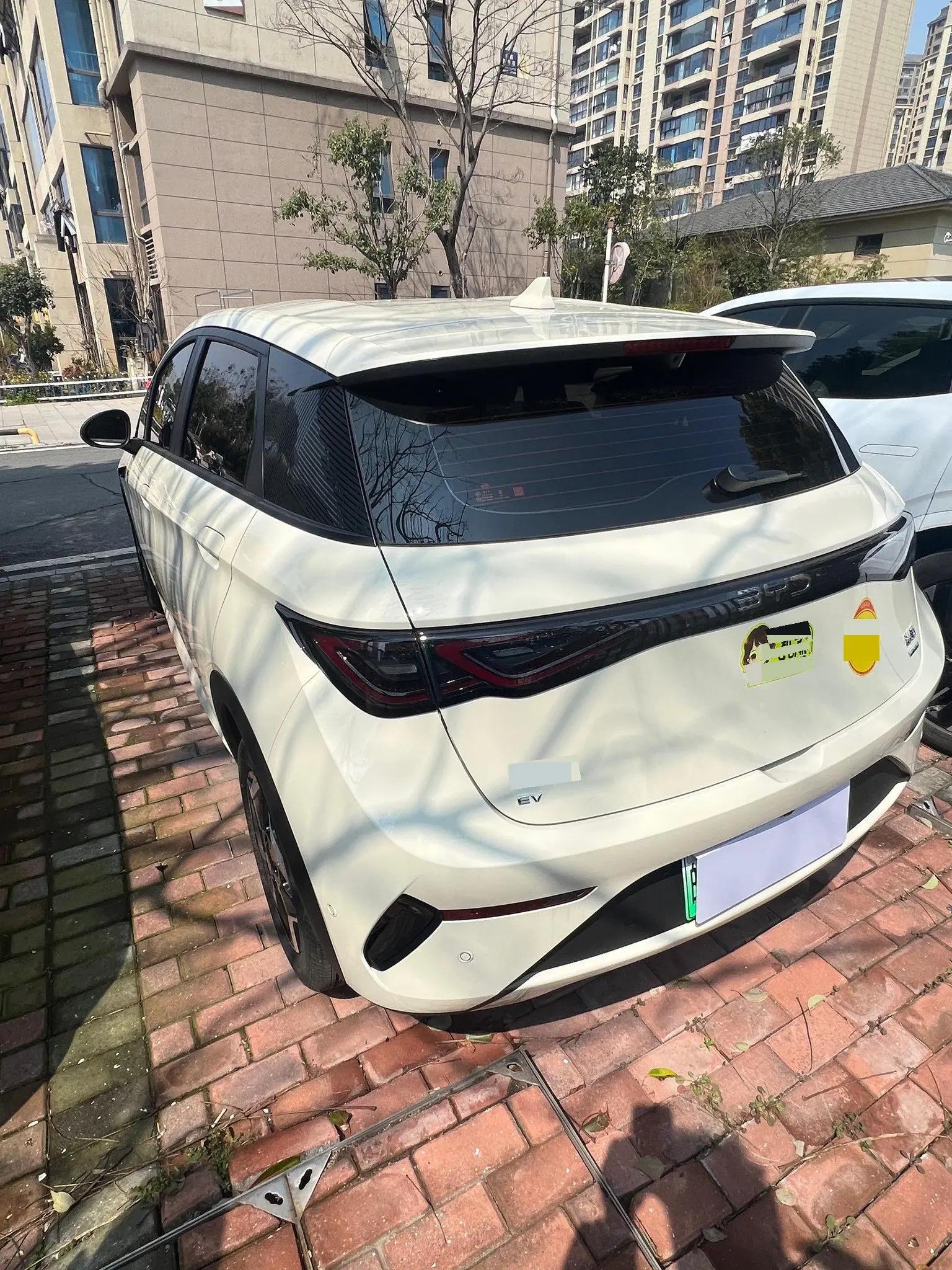 BYD 2025 Dolphin Intelligent Driving Edition 420km Free Edition Automatic 8