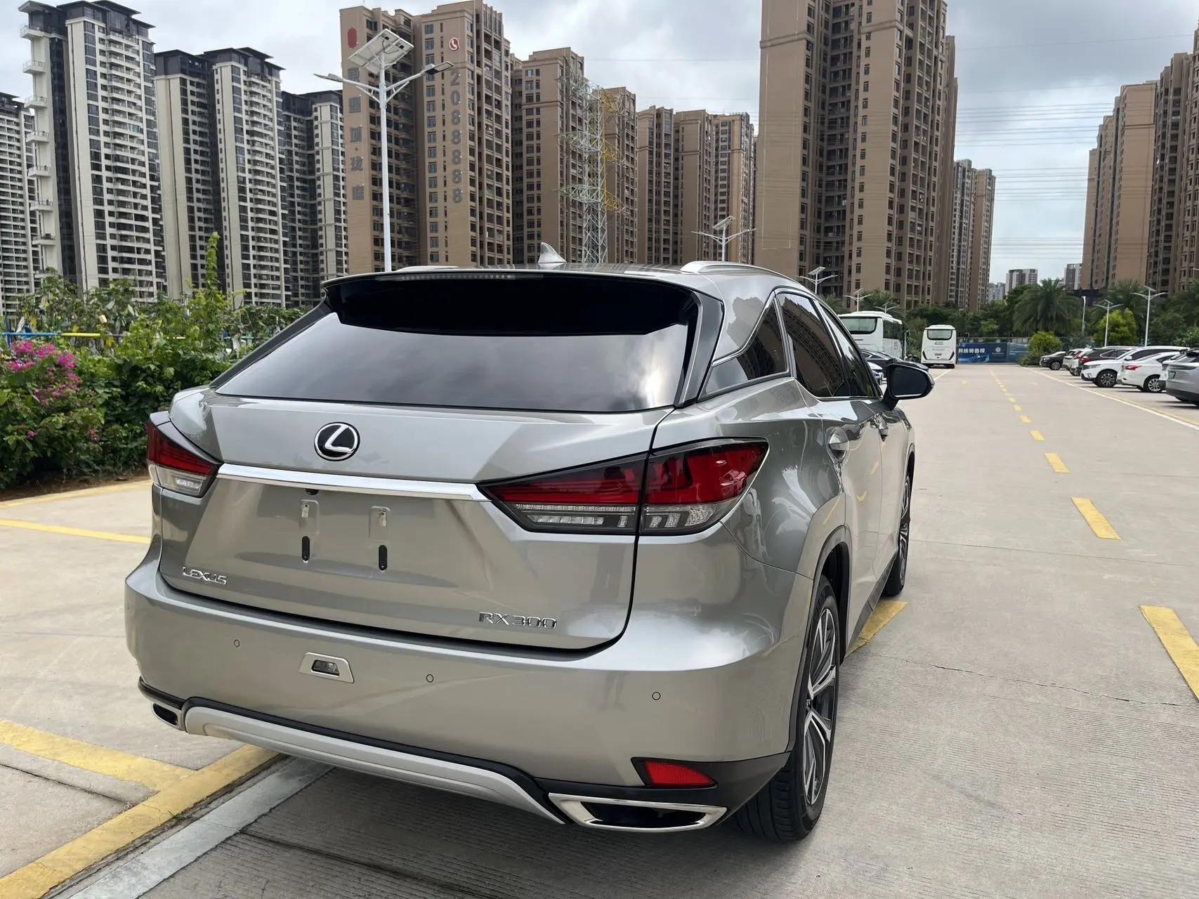Lexus RX 2020 model modified 300 four-wheel drive elegant version 5