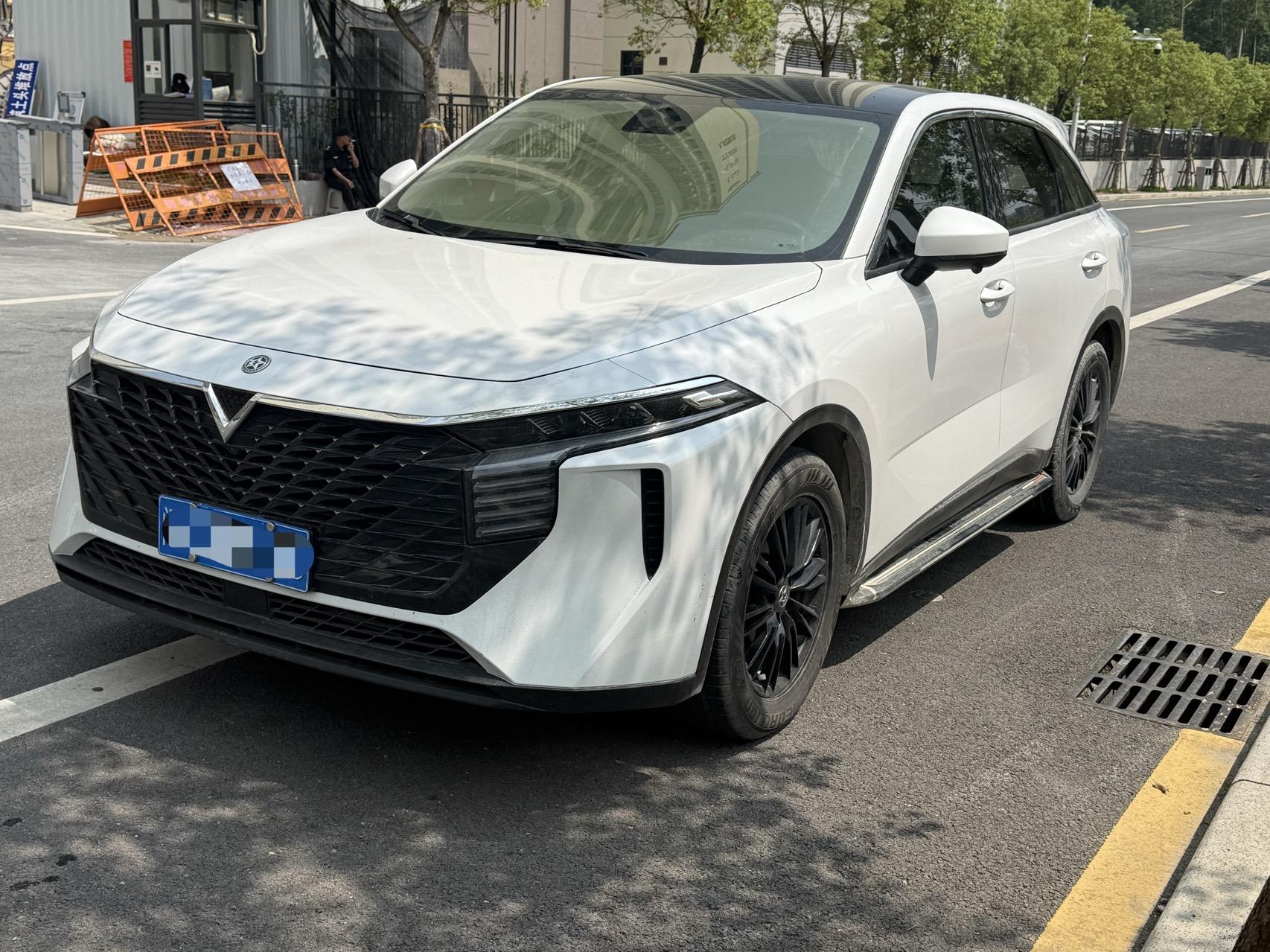 Venucia Big V 2022 260T Dark Horse Edition Top Flow