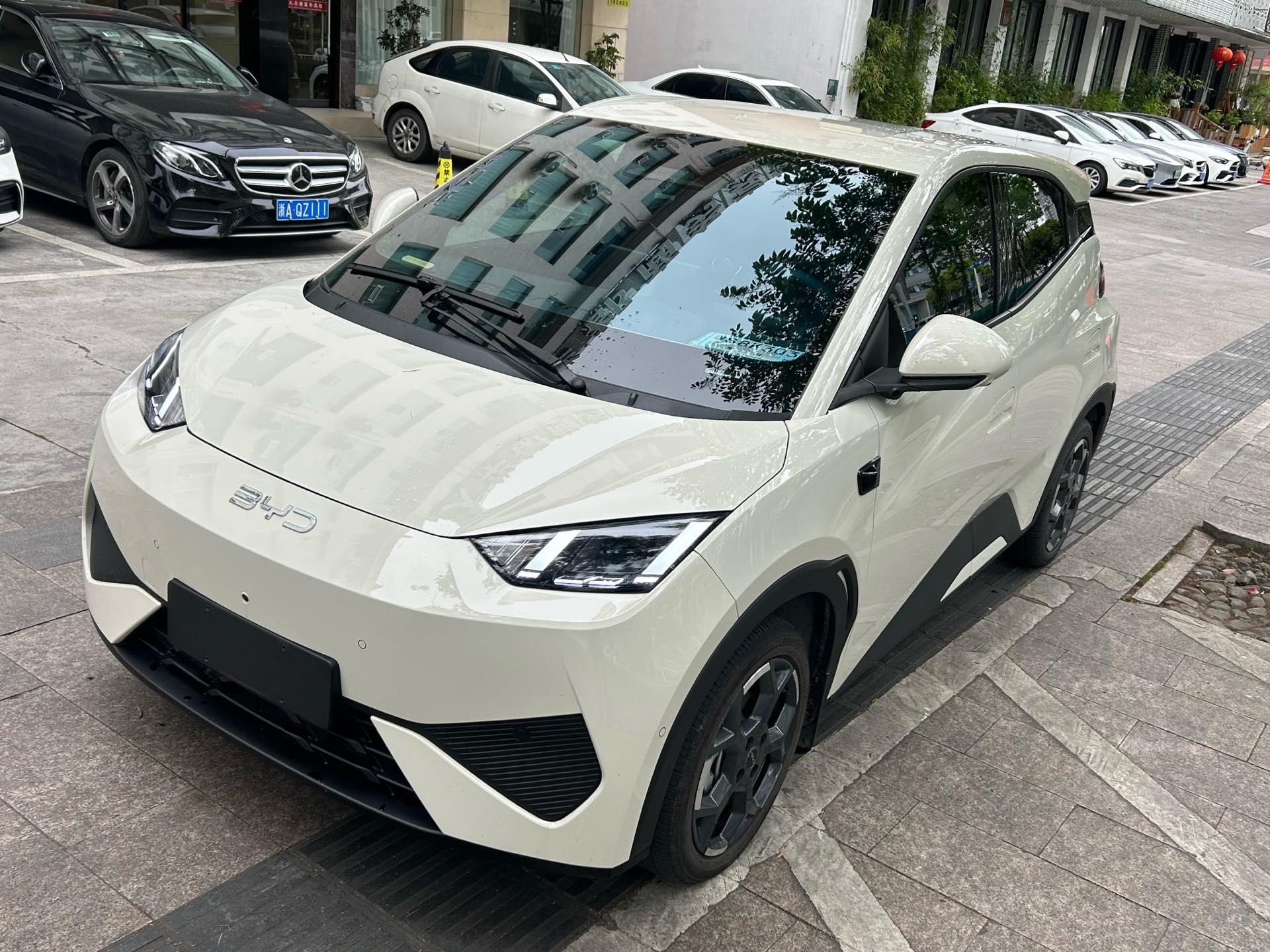 BYD 2025 Seagull Smart Driving Edition 405km Flying Edition Automatic Gear