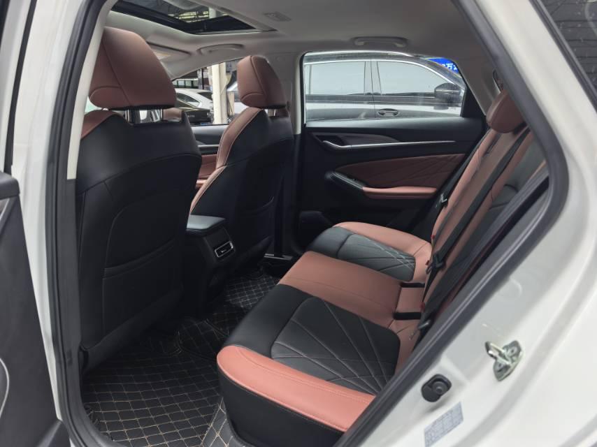 Yidong 2022 PLUS Blue Whale NE 1.4T GDI DCT Premium Edition 5